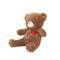 Teddy Love, BBTB190482