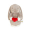 Love you Bunny, BBTB190485
