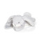 Little Naptime NIbble Bloom Bunny, BBTB190572