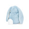Tiny Nibble Bunny Maui Blue, BBTB190312