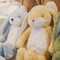 Little Floppy Nibble Lemongrass, BBTB190468