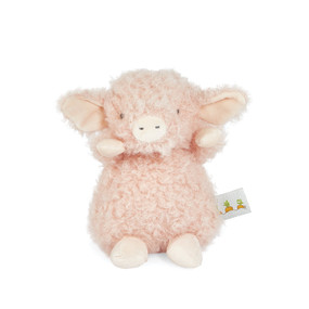 Wee Hammie, BBTB190040