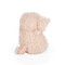 Wee Hammie, BBTB190040