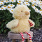 Wee Clucky Little, BBTB190041
