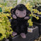 Wee Kiddo Black, BBTB824378