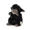 Wee Kiddo Black, BBTB824378