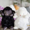 Wee Kiddo Black, BBTB824378