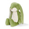 Big Floppy Nibble Pistachio, BBTB190544