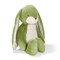 Big Floppy Nibble Pistachio, BBTB190544