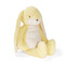 Big Floppy Nibble Lemongrass, BBTB190547