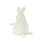 Bun Bun Roly Poly, BBTB101065