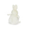 Bun Bun Roly Poly, BBTB101065