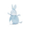 Roly Poly Maui Blue, BBTB190316