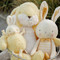 Roly Poly Lemongrass, BBTB190559