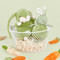 Roly Poly Pistachio, BBTB190560