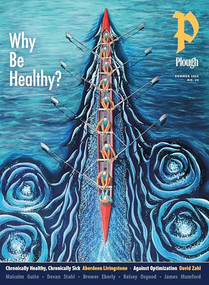 Plough Quarterly No. 44 - Why Be Healthy? by Peter Mommsen, David Zahl, Malcolm Guite, Kelsey Osgood, Abraham Nussbaum, 9781636081717