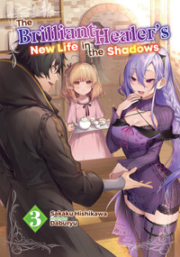 The Brilliant Healer's New Life in the Shadows: Volume 3 (Light Novel) by Sakaku Hishikawa, Daburyu, Camilla Lima, 9781718332720