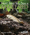 Next Time You See a Maple Seed by Emily Morgan, 9781938946356