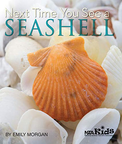 Next Time You See a Seashell by Emily Morgan, 9781936959150