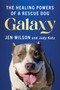 Galaxy (The Healing Powers of a Rescue Dog) by Jen Wilson, Judy Katz, 9781493093083