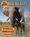 In Focus: Big Beasts by Steve Parker, 9780753474280