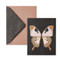 Butterfly - 9798217212637 - 9798217212637