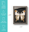 Butterfly - 9798217212637 - 9798217212637