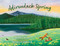 Adirondack Spring by Brian J. Heinz, Michelle Garlock, 9781493092758