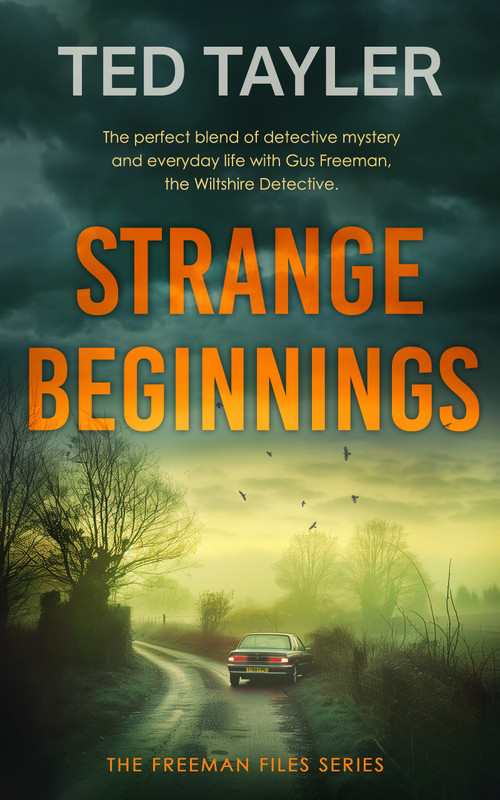 Strange Beginnings (A Cold Case Murder Mystery Series) by Ted Tayler, 9781036704995