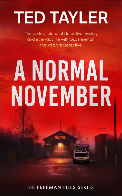 A Normal November (A Cold Case Murder Mystery Series) by Ted Tayler, 9781036705015