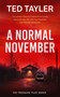 A Normal November (A Cold Case Murder Mystery Series) by Ted Tayler, 9781036705015