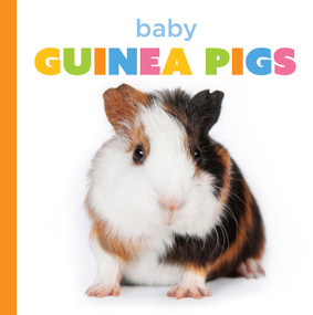 Baby Guinea Pigs by Laura K. Murray, 9781682779859