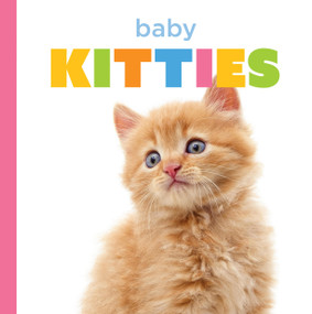 Baby Kitties by Laura K. Murray, 9781682779873