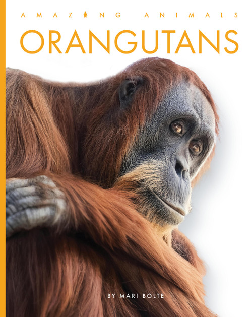 Orangutans - 9798896800101 by Mari Bolte, 9798896800101