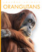 Orangutans - 9798896800101 by Mari Bolte, 9798896800101