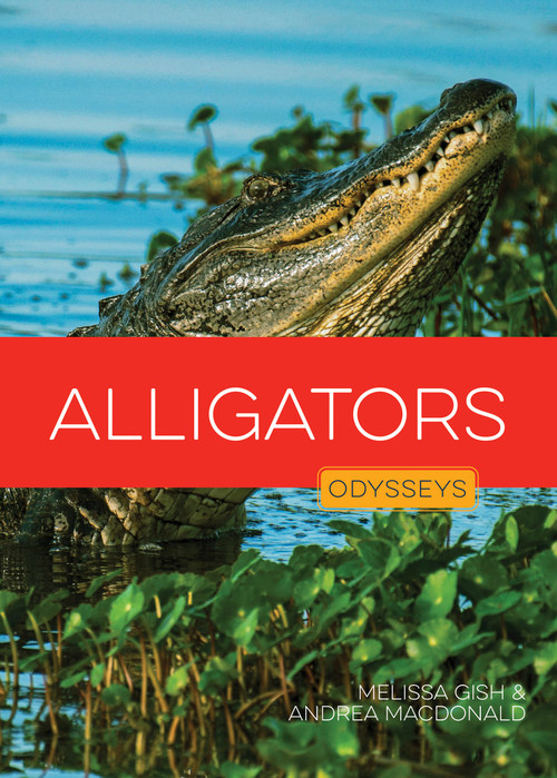 Alligators - 9798896800972 by Melissa Gish, Andrea MacDonald, 9798896800972