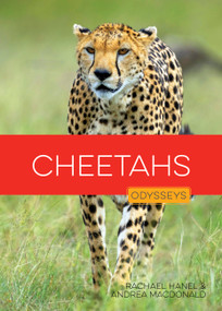Cheetahs - 9798896800989 by Rachael Hanel, Andrea MacDonald, 9798896800989