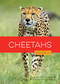 Cheetahs - 9798896800989 by Rachael Hanel, Andrea MacDonald, 9798896800989