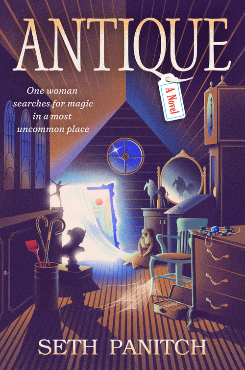 Antique (A Novel) by Seth Panitch, 9781538772942