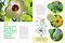 Let's Botanize (101 Ways to Connect with Plants) by Ben Goulet-Scott, Jacob S. Suissa, 9781635869040