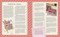 Budget Luxury (Your Guide to Creating a Beautiful Home Without Breaking the Bank) by Clare Sullivan, 9780593798102