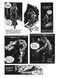 Creepy Archives Volume 13 (Double-Sized Volume) by Bill Dubay, Steve Skeates, Bernie Wrightson, Richard Corben, John Severin, 9781506749693