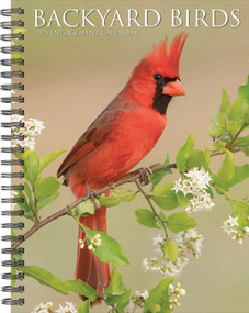 Backyard Birds 2026 6.5" x 8.5" Engagement Calendar by Willow Creek Press, 9781549254574