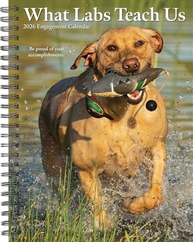 What Labs Teach Us 2026 6.5" x 8.5" Engagement Calendar by Willow Creek Press, 9781549255267