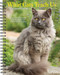 What Cats Teach Us 2026 6.5" x 8.5" Engagement Calendar by Willow Creek Press, 9781549254666