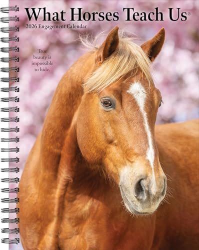 What Horses Teach Us 2026 6.5" x 8.5" Engagement Calendar by Willow Creek Press, 9781549254697