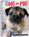 Doug the Pug 2026 6.5" x 8.5" Engagement Calendar by Leslie Mosier, 9781549254642