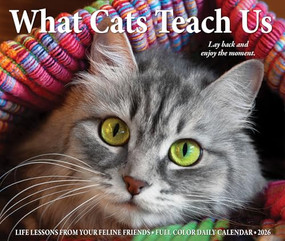 What Cats Teach Us 2026 5.4" x 6.2" Box Calendar by Willow Creek Press, 9781549254505