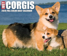 Corgis 2026 5.4" x 6.2" Box Calendar by Willow Creek Press, 9781549254079