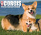 Corgis 2026 5.4" x 6.2" Box Calendar by Willow Creek Press, 9781549254079
